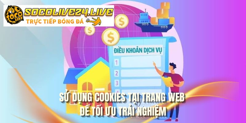 Sử dụng cookies tại trang web để tối ưu trải nghiệm