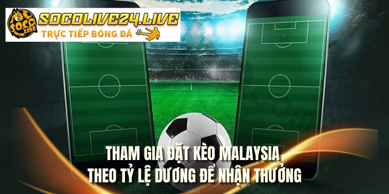 Tham gia đặt kèo Malaysia theo tỷ lệ dương để nhận thưởng