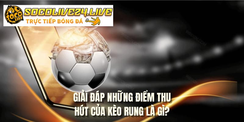 Giải đáp những điểm thu hút của kèo rung là gì?